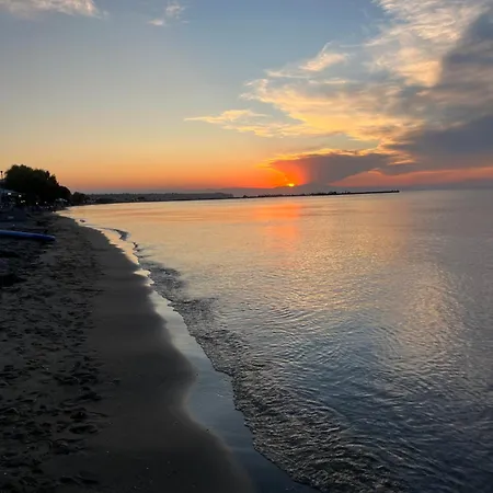 Kjara's Nest * Neo Epivates