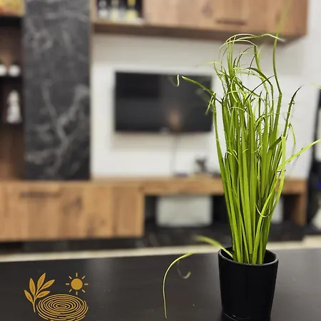 Apartmán Kjara's Nest Néoi Epivátai