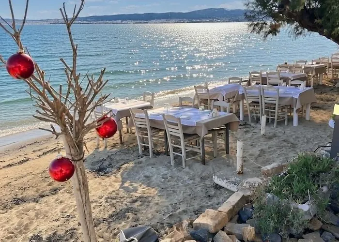 Kjara's Nest * 尼奥伊皮瓦太